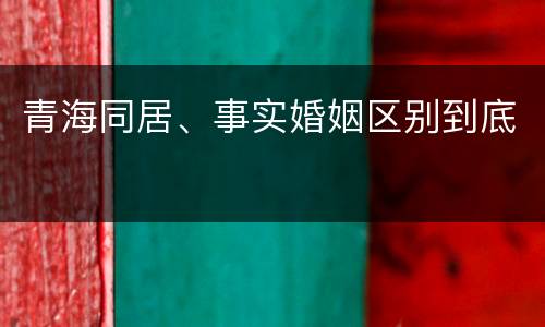 青海同居、事实婚姻区别到底