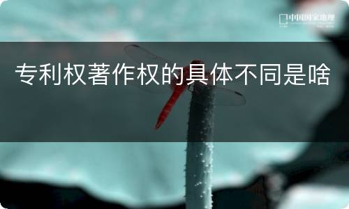 专利权著作权的具体不同是啥