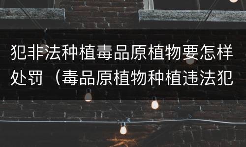 犯非法种植毒品原植物要怎样处罚（毒品原植物种植违法犯罪行为）