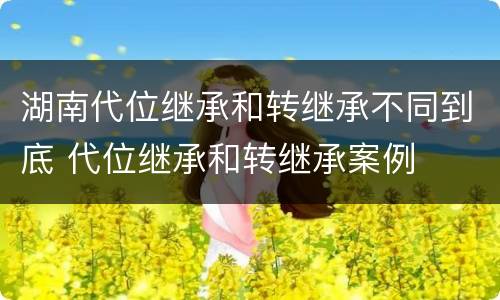 湖南代位继承和转继承不同到底 代位继承和转继承案例