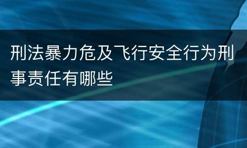 刑法暴力危及飞行安全行为刑事责任有哪些