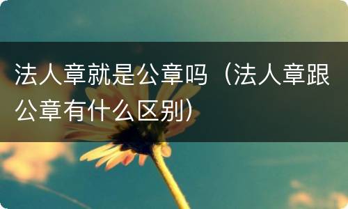 法人章就是公章吗（法人章跟公章有什么区别）