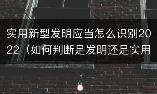 实用新型发明应当怎么识别2022（如何判断是发明还是实用新型）
