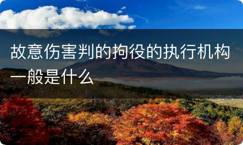 故意伤害判的拘役的执行机构一般是什么