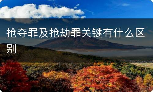 抢夺罪及抢劫罪关键有什么区别