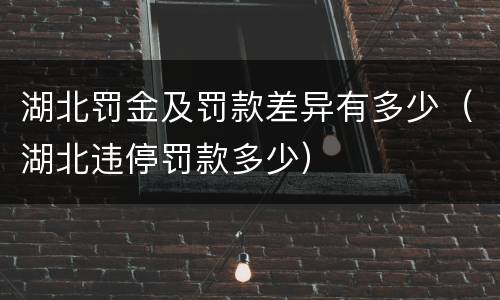 湖北罚金及罚款差异有多少（湖北违停罚款多少）