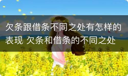 欠条跟借条不同之处有怎样的表现 欠条和借条的不同之处