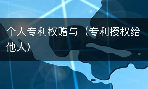 个人专利权赠与（专利授权给他人）