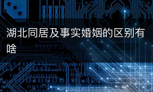 湖北同居及事实婚姻的区别有啥