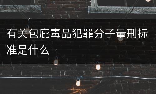 有关包庇毒品犯罪分子量刑标准是什么