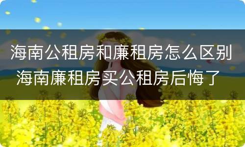 海南公租房和廉租房怎么区别 海南廉租房买公租房后悔了