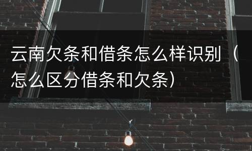 云南欠条和借条怎么样识别（怎么区分借条和欠条）