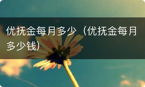 优抚金每月多少（优抚金每月多少钱）
