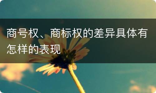 商号权、商标权的差异具体有怎样的表现