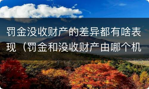 罚金没收财产的差异都有啥表现（罚金和没收财产由哪个机关执行）