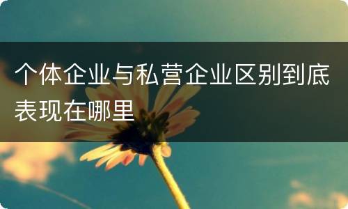 个体企业与私营企业区别到底表现在哪里