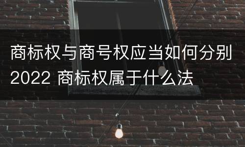 商标权与商号权应当如何分别2022 商标权属于什么法