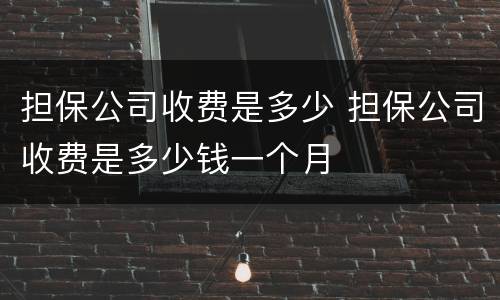 担保公司收费是多少 担保公司收费是多少钱一个月