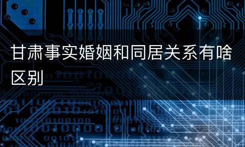 甘肃事实婚姻和同居关系有啥区别