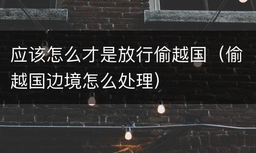 应该怎么才是放行偷越国（偷越国边境怎么处理）