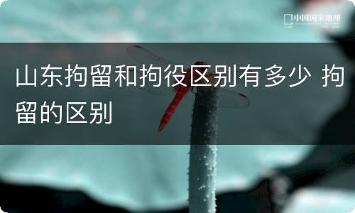 山东拘留和拘役区别有多少 拘留的区别