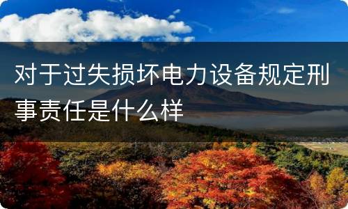 对于过失损坏电力设备规定刑事责任是什么样