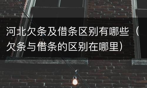河北欠条及借条区别有哪些（欠条与借条的区别在哪里）