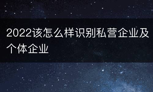 2022该怎么样识别私营企业及个体企业