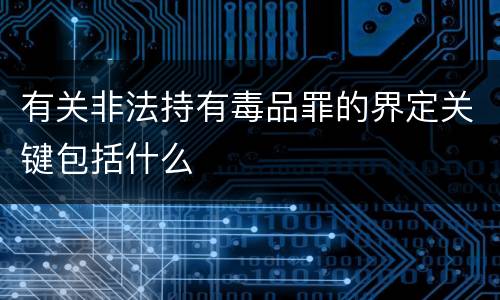 有关非法持有毒品罪的界定关键包括什么
