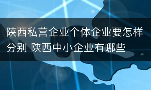 陕西私营企业个体企业要怎样分别 陕西中小企业有哪些