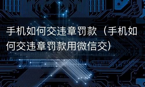 手机如何交违章罚款（手机如何交违章罚款用微信交）