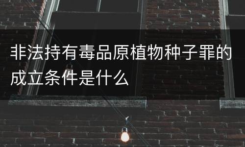 非法持有毒品原植物种子罪的成立条件是什么