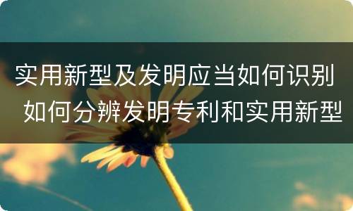 实用新型及发明应当如何识别 如何分辨发明专利和实用新型