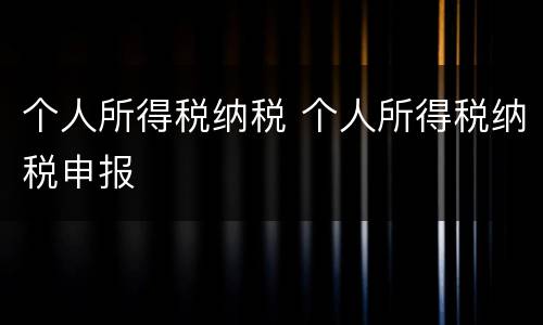个人所得税纳税 个人所得税纳税申报