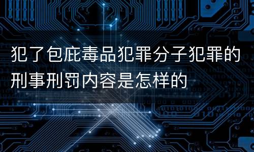 犯了包庇毒品犯罪分子犯罪的刑事刑罚内容是怎样的