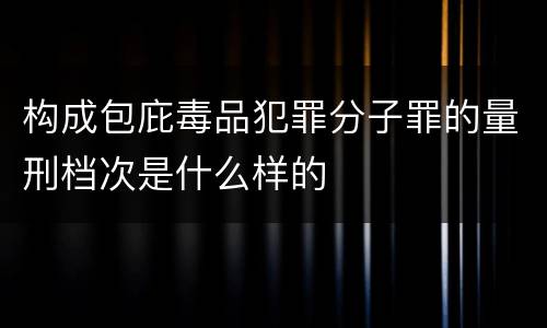 构成包庇毒品犯罪分子罪的量刑档次是什么样的