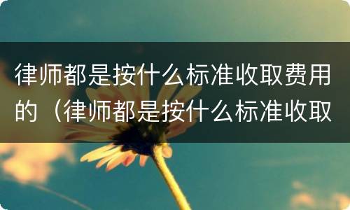律师都是按什么标准收取费用的（律师都是按什么标准收取费用的呀）