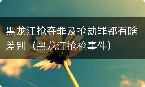 黑龙江抢夺罪及抢劫罪都有啥差别（黑龙江抢枪事件）