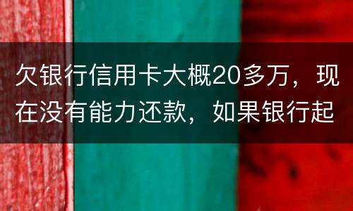 欠银行信用卡大概20多万，现在没有能力还款，如果银行起诉，法院会怎么判决，如果强