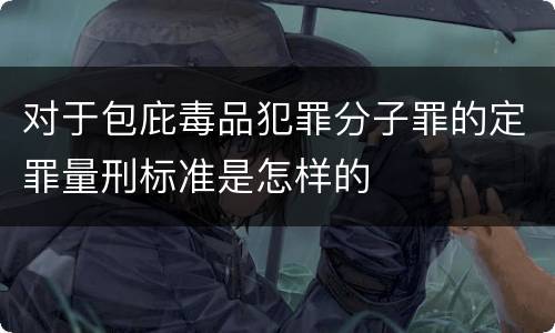 对于包庇毒品犯罪分子罪的定罪量刑标准是怎样的