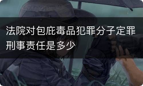法院对包庇毒品犯罪分子定罪刑事责任是多少