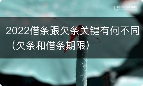 2022借条跟欠条关键有何不同（欠条和借条期限）