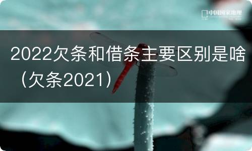 2022欠条和借条主要区别是啥（欠条2021）