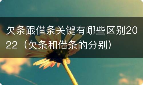 欠条跟借条关键有哪些区别2022（欠条和借条的分别）