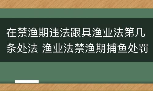 在禁渔期违法跟具渔业法第几条处法 渔业法禁渔期捕鱼处罚规定