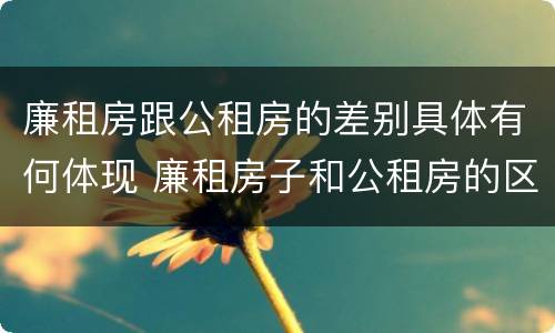 廉租房跟公租房的差别具体有何体现 廉租房子和公租房的区别