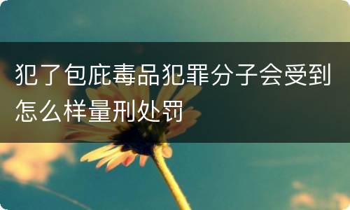 犯了包庇毒品犯罪分子会受到怎么样量刑处罚