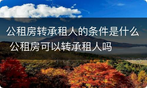 公租房转承租人的条件是什么 公租房可以转承租人吗