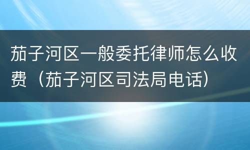 茄子河区一般委托律师怎么收费（茄子河区司法局电话）