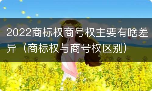 2022商标权商号权主要有啥差异（商标权与商号权区别）